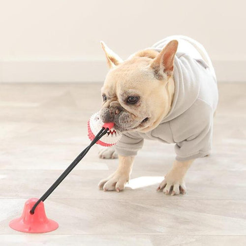 Flexible Treat Tug Toy