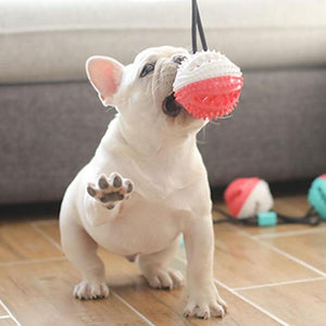 Flexible Treat Tug Toy
