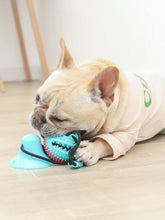 Load image into Gallery viewer, Flexible Treat Tug Toy
