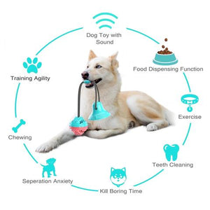 Flexible Treat Tug Toy