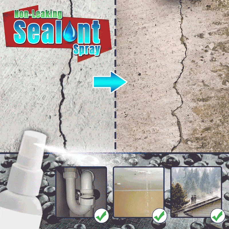 Non-Leaking Mighty Sealant Spray