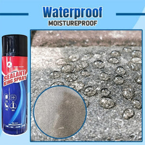 Non-Leaking Mighty Sealant Spray